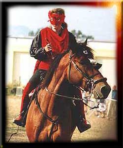 ERMES V